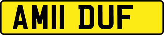 AM11DUF