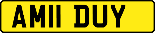 AM11DUY