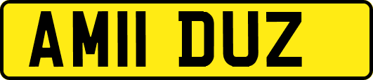 AM11DUZ