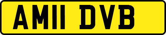 AM11DVB
