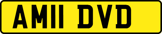 AM11DVD