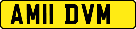 AM11DVM