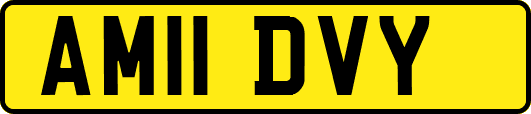 AM11DVY