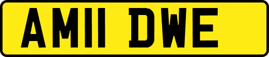 AM11DWE
