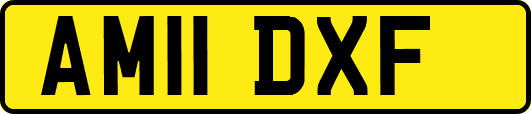 AM11DXF