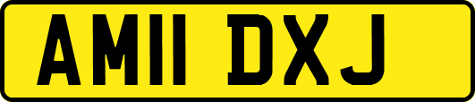 AM11DXJ