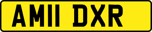 AM11DXR