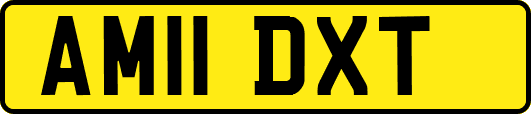 AM11DXT