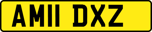 AM11DXZ