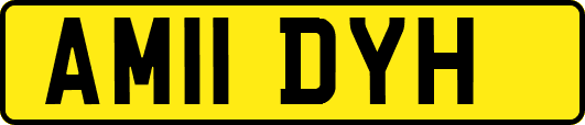 AM11DYH