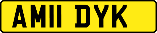 AM11DYK