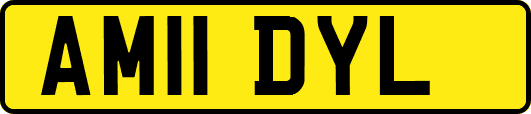 AM11DYL