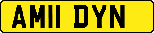 AM11DYN