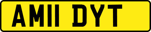 AM11DYT