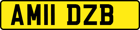 AM11DZB