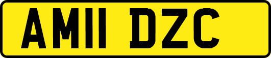 AM11DZC