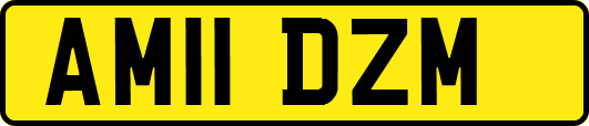 AM11DZM