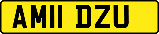 AM11DZU