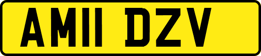 AM11DZV