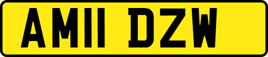 AM11DZW