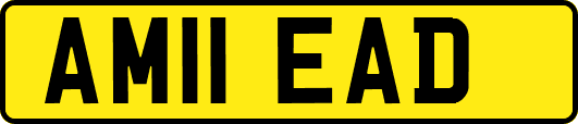 AM11EAD