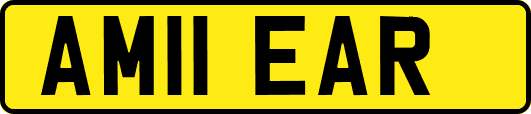 AM11EAR