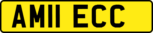 AM11ECC