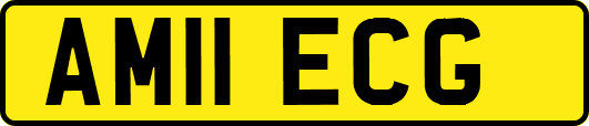 AM11ECG