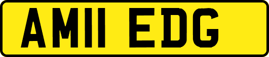 AM11EDG
