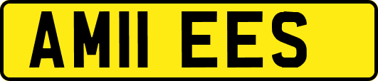 AM11EES