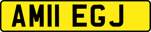 AM11EGJ