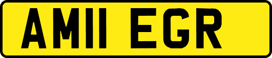 AM11EGR