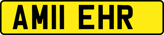 AM11EHR