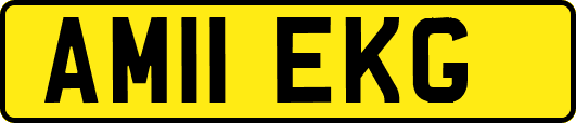 AM11EKG