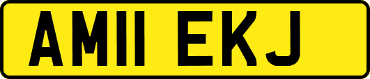 AM11EKJ