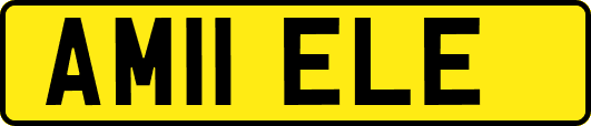 AM11ELE
