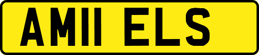 AM11ELS
