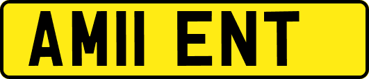 AM11ENT