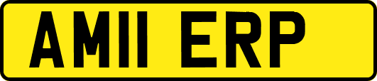 AM11ERP