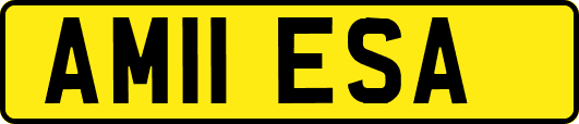 AM11ESA
