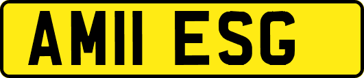 AM11ESG