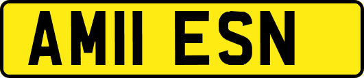 AM11ESN