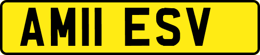 AM11ESV