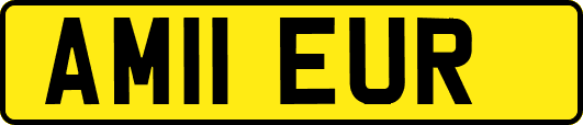 AM11EUR