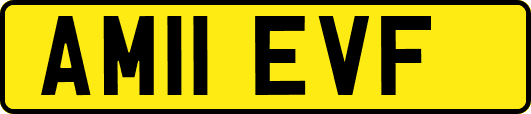 AM11EVF