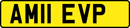 AM11EVP