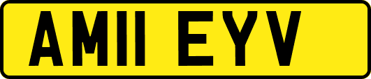AM11EYV