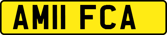 AM11FCA