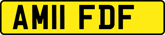 AM11FDF