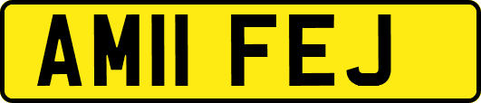 AM11FEJ